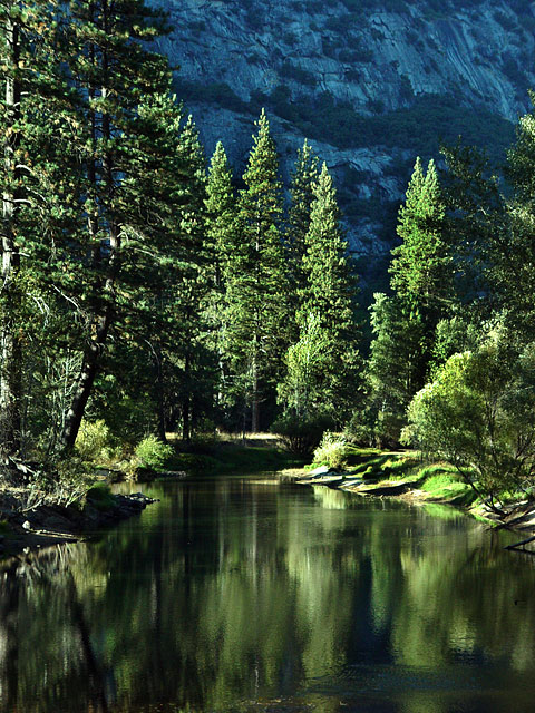 Reflections in Merced River