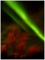 Northern-lights1.jpg