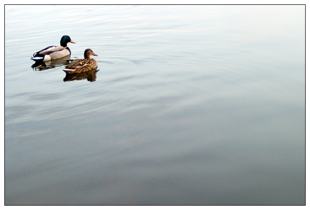 Coupling