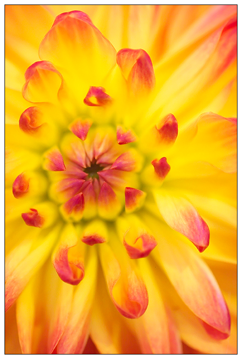 Starburst