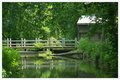 Eno River Mill and Bridge