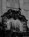 Downtown Crow