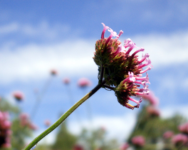 Reaching Out