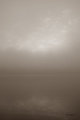 Mist 2