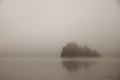Mist 5