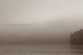 Mist 10