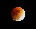 eclipse1.jpg