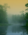 The River
