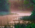 DSC_1114-Edit.jpg