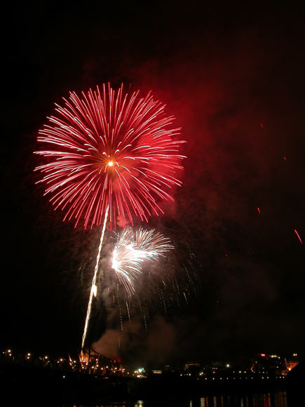 fire-flower.jpg