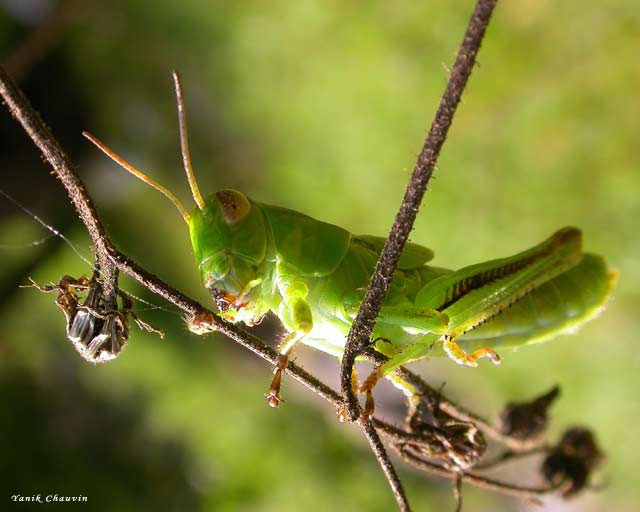 Hangin' Around
