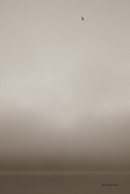 Mist 4