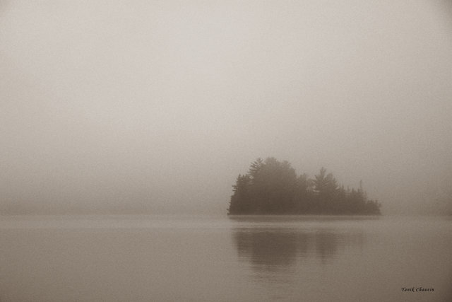 Mist 5