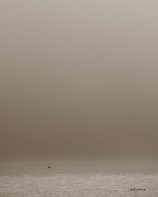 Mist 9
