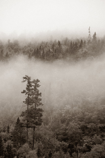 Mist 11