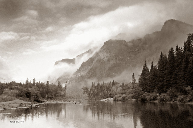 Mist 12