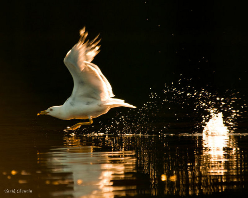 DSC_3124-Edit.jpg