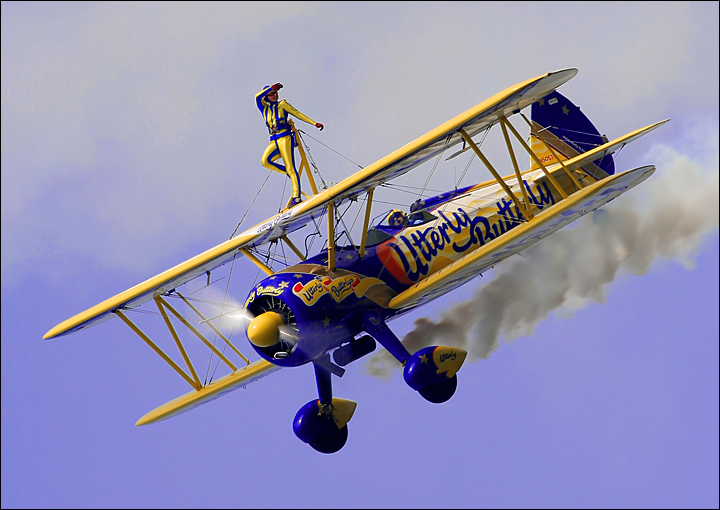 Wing Walker