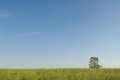 green and blue