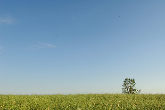 green and blue