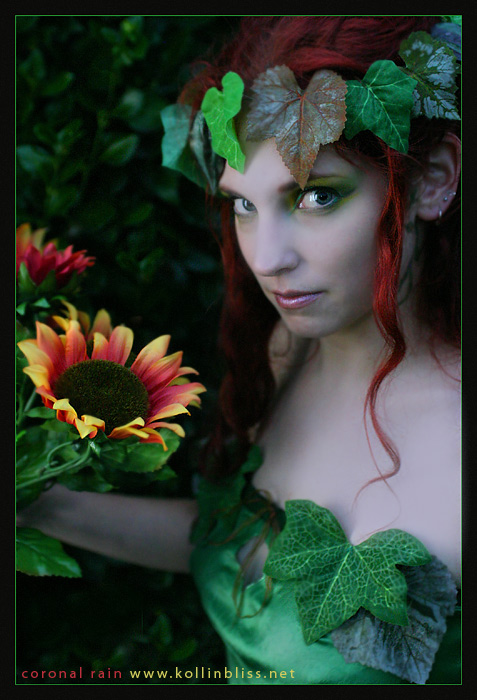 :: A Woodland Faerie ::
