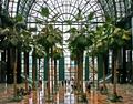 The Winter Garden