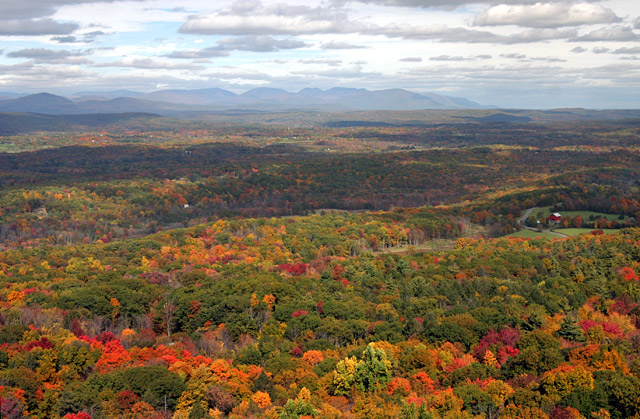 Autumn Palette