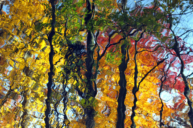 Autumn Reflections