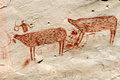 Petroglyphs