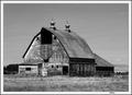 Montana Barn