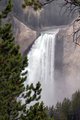 Yellowstone Falls