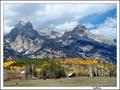 Grand Tetons, Showing Of Golden Aspens