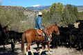 Roundup