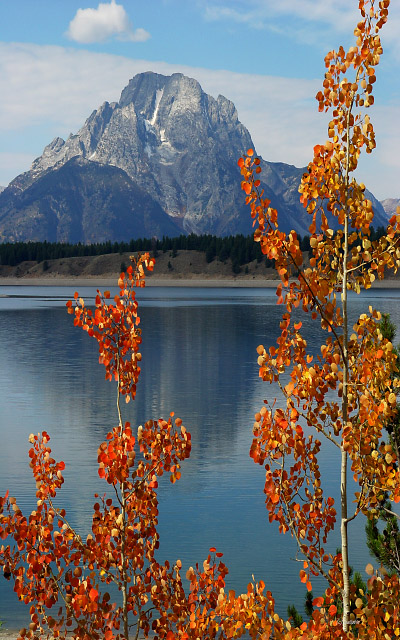 Autumn In The Tetons