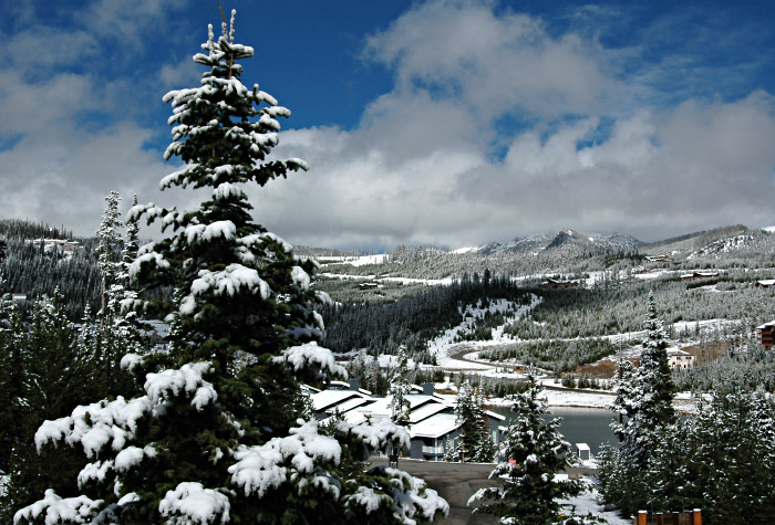 Snow In Big Sky