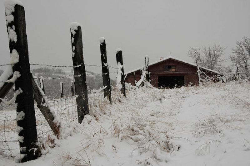 Fence