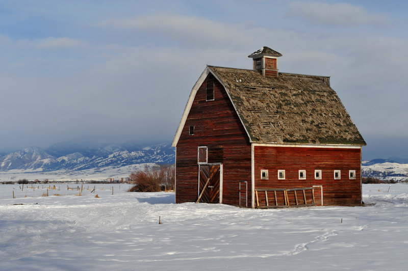 Montana Barn In Winter 