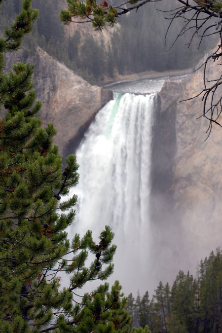 Yellowstone Falls