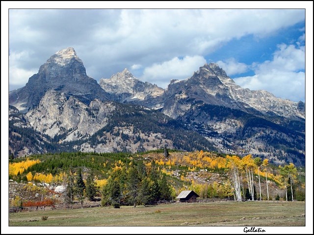 Grand Tetons, Showing Of Golden Aspens