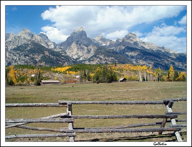 Fenced In Aspens & Tetons