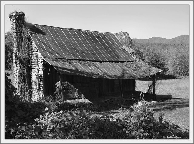 Abandoned In The Appalachian Mountains