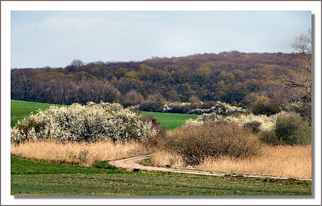 Lorraine Farmland