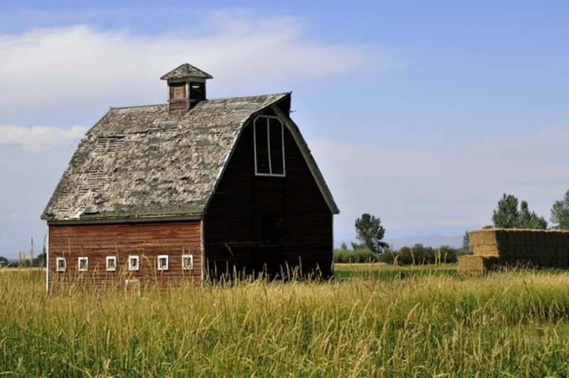 Montana Barn