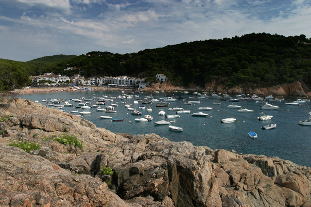 IMG_7969.jpg