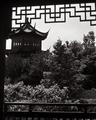 Chinese Gardens
