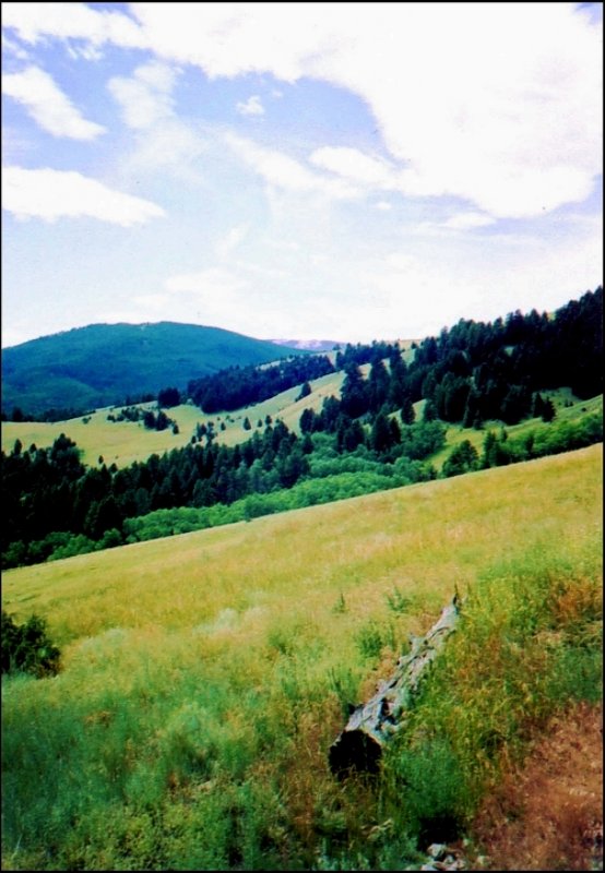 South of Anaconda  1.jpg