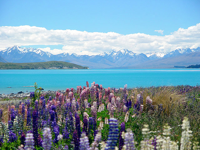 Lake Tekapo