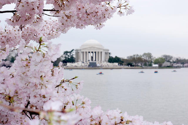 jefferson-memorial.jpg
