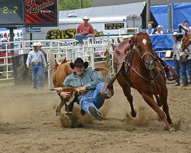 Steer Wrestling 05