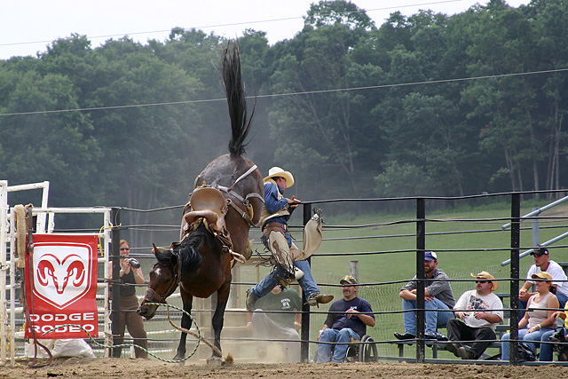 Saddle Bronc Riding - 01
